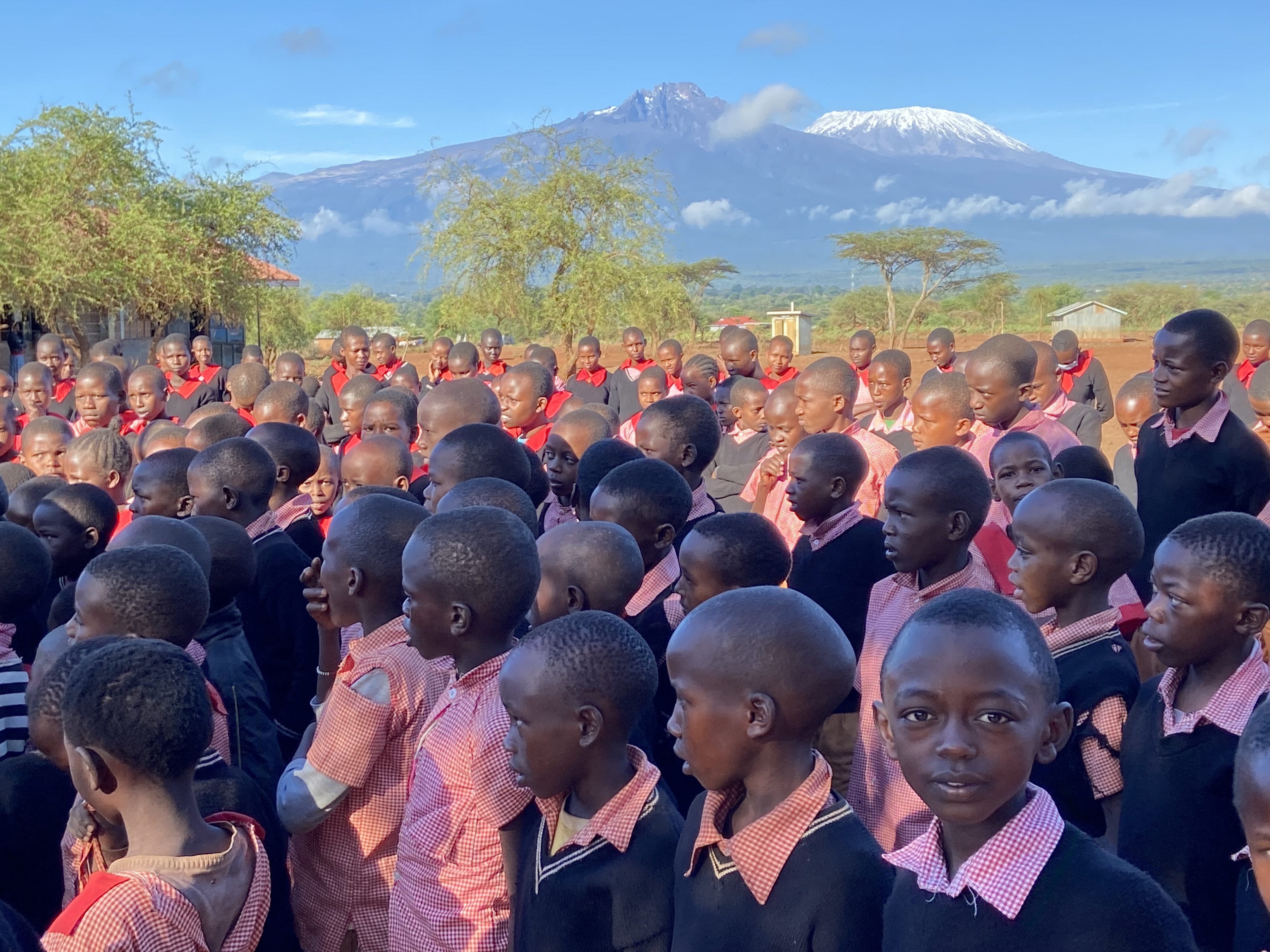 ADEA Community Impact